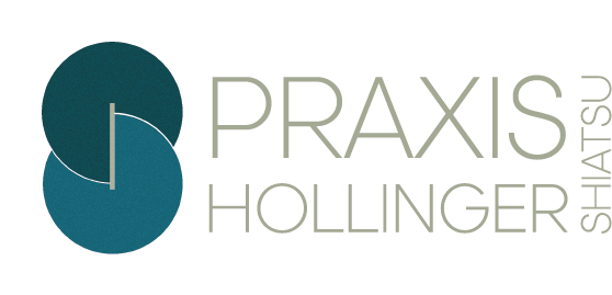 Praxis Hollinger