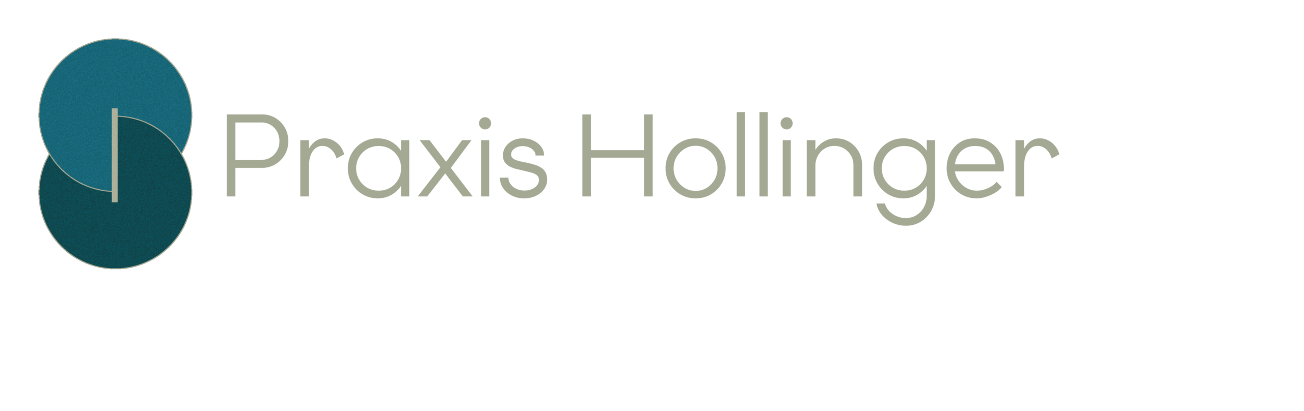 Main Logo Praxis Hollinger