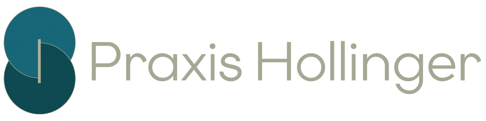 main logo praxis hollinger
